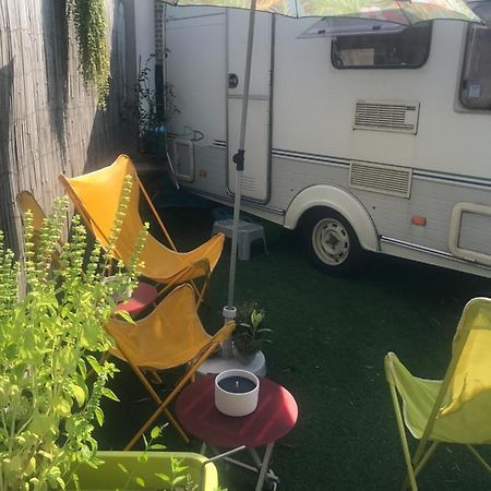 Gardencaravan Near Ghent In Green Area Εξωτερικό φωτογραφία