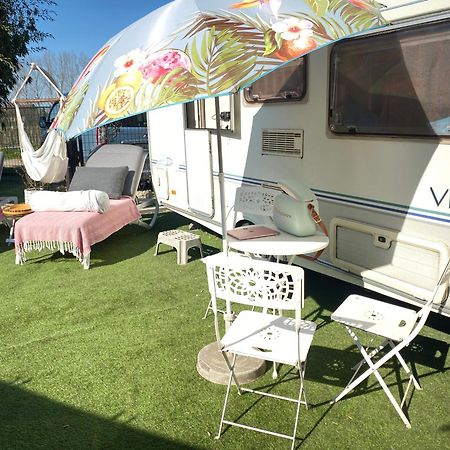Gardencaravan Near Ghent In Green Area Εξωτερικό φωτογραφία
