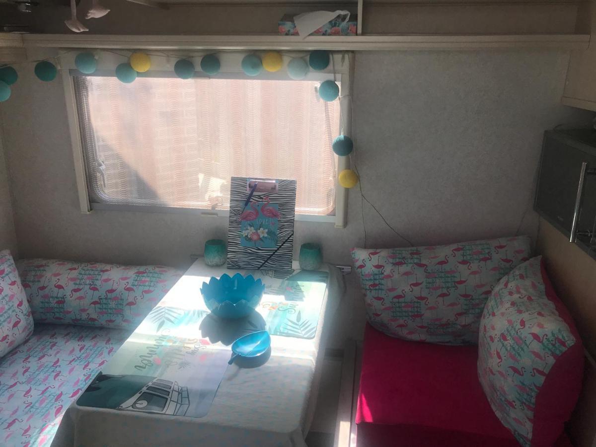 Gardencaravan Near Ghent In Green Area Εξωτερικό φωτογραφία