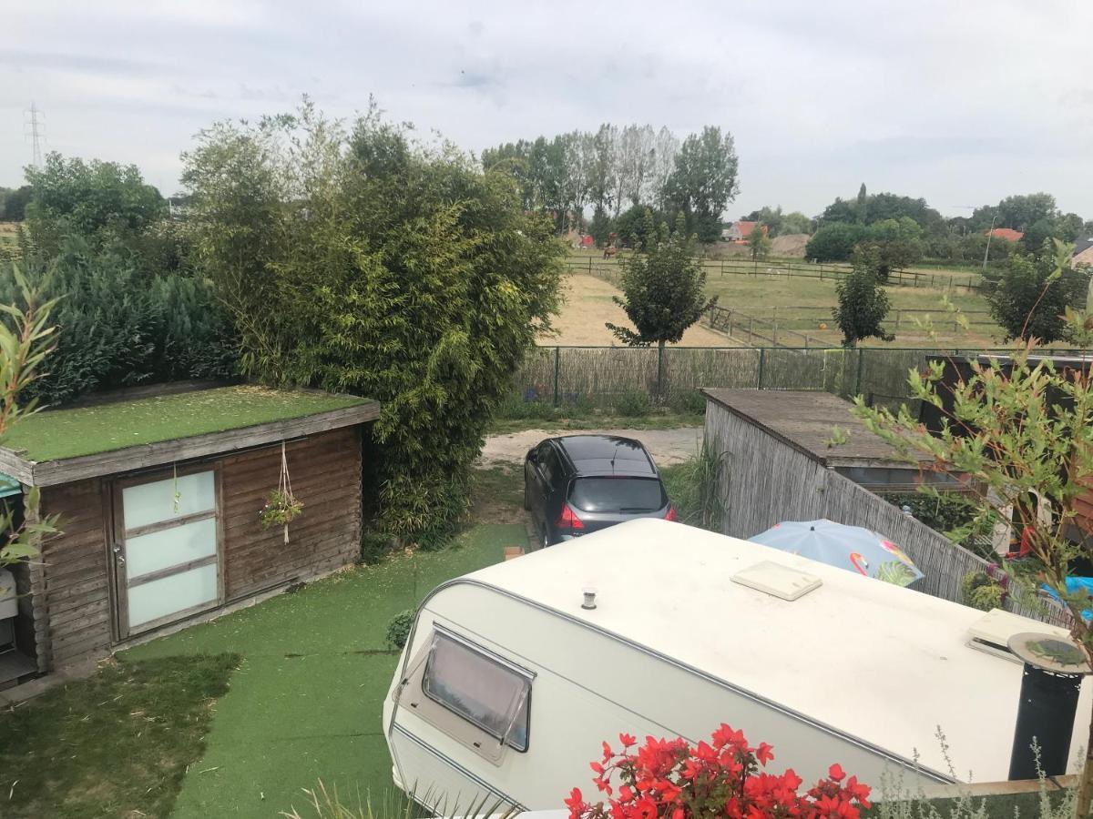 Gardencaravan Near Ghent In Green Area Εξωτερικό φωτογραφία